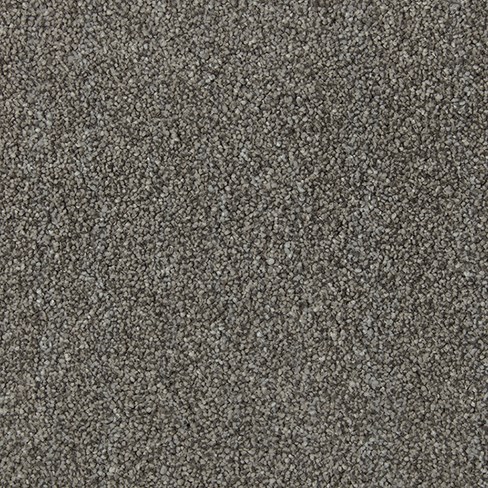 >SILKTONES GREYHOUND     ...................................................SOLD............................................